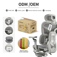 Chaise de bureau ergonomique pour adolescents certifiée BIFMA CE, accoudoirs réglables, soutien lombaire adaptatif pour la maison, la chambre et le bureau