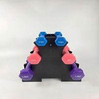 Ensemble d'haltères en fonte en gros avec revêtement hexagonal en néoprène mat, design antidérapant réglable pour l'entraînement des bras et du corps