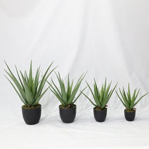 Sahte Aloe Vera Bitkileri - Yksek Kaliteli Ev Dekorasyon zmleri