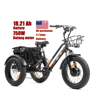 एंलोची वयस्क वसा टायर ई ट्रिके 20 इंच इलेक्ट्रिक साइकिल 3 व्हील 750w बाफंग मोटर कार्गो ई बाइक Lcd 48v शिमानो 7 स्पीड ओपन