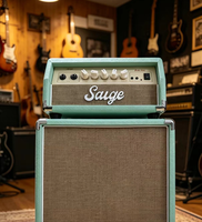 Amplificateur de basse électrique haute puissance OEM, 100 W, audio pour performance guitare, sortie multi-ports, dédié à la scène
