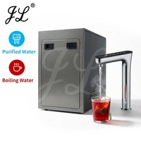 Chauffe-eau avec filtre et robinet numérique métallique sous comptoir, distributeur d'eau bouillante instantanée, machine à eau chaude et purifiée