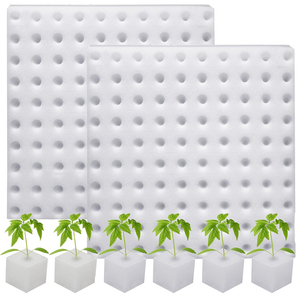 Trắng soilless Rau ươm chậu cây giống nhân bản cổ áo vườn trồng trồng thủy canh miếng bọt biển - Product Image 1