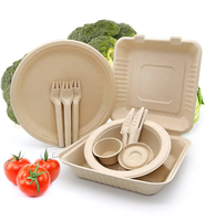 Bagazo Desechable Ecológico Natural Caña de Azúcar para Llevar A LA Caja 9X9 "Compostable Contenedores de Alimentos con Bisagras Contenedor