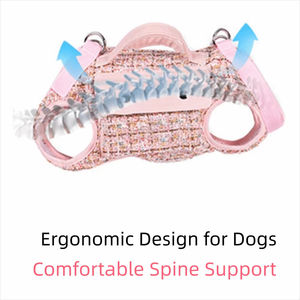 Sac à dos pour animaux de compagnie portable de luxe à la mode, motif à carreaux, grande capacité, sac à main pour petits chiens, races pour l'extérieur - Product Image 5