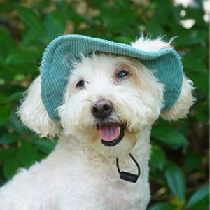 Chongtapet Gorro tipo pescador monocromático con protección solar para perros pequeños, estilo moderno de verano - Product Image 4