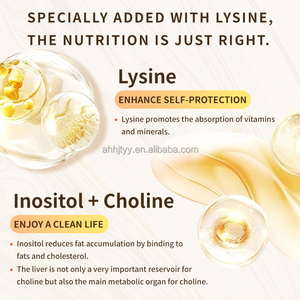 Comprimés de Multivitamines et Minéraux à Haute Concentration en <span class=keywords><strong>Nutrition</strong></span> Complète Supplément de Vitamines et Minéraux Complexes pour une Santé Améliorée - Product Image 6