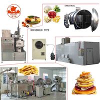 400Kg/Batch Gedroogde Apple Chips Productielijn/Gedroogde Mango Verwerking Machine/Gedroogd Fruit Machines