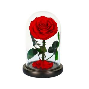 Fleur éternelle petit Prince unique Rose fait à la main conservé anniversaire et saint valentin cadeau usine cheveux raides couverture en verre - Product Image 5