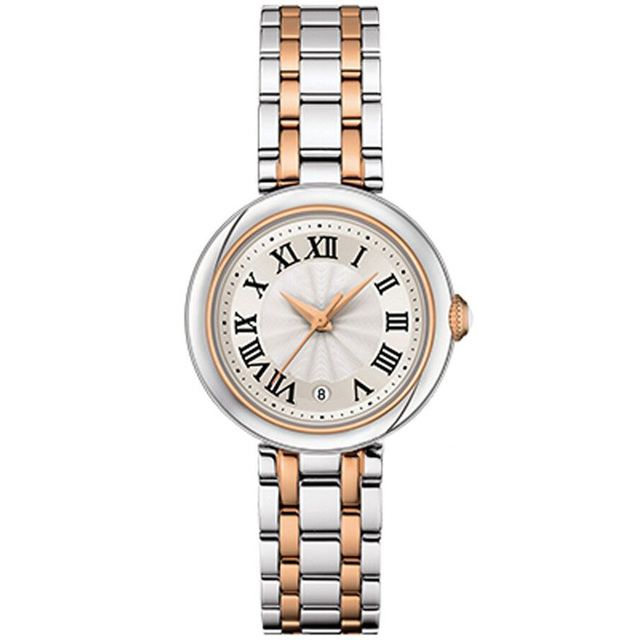 Casual Stainless Steel Watch Small Wrist Simple Watch for Women Elegant Roman Numerals Ladies Dress Watch