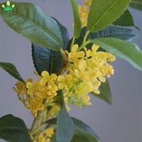 Kunstmatige groene takken Osmanthus bloemen planten bladeren groen decoratie voor vazen boeketten huis kantoor bruiloft feest decoratie