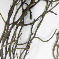 Vv297 Nouveau Design 180cm Branches Séchées Branches D'arbre Branche D'arbre Sèche Mariage Salon Café Décor Plafond Décoration