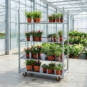 <span class=keywords><strong>Chariot</strong></span> <span class=keywords><strong>danois</strong></span> de serre en métal pour horticulture, <span class=keywords><strong>chariot</strong></span> à fleurs avec étagères réglables, <span class=keywords><strong>chariot</strong></span> de transport mobile pour plantes pour pépinière et ferme - Product Image 4