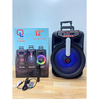 Enceinte portable de karaoké 12 pouces avec microphone sans fil LED RGB, entrées USB/Aux/RCA/XLR, télécommande, 20W, enceinte en plastique, écran d'affichage