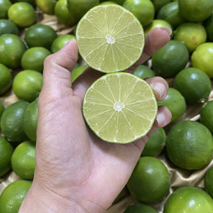 Limón Fresco Sin Semillas del Delta de Vietnam, Fruta Cítrica Orgánica de Calidad de Exportación/Ms. Kelly - Product Image 1