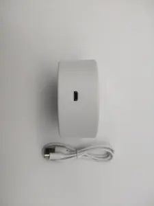 Snoopy Lampu Malam 3D Lampu Meja Sentuh, Lampu Berubah 7 Warna dengan Datar Akrilik & Dasar ABS & Pengisi Daya USB