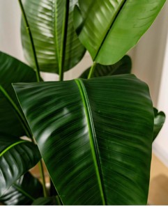 Árbol de bonsái artificial para interior moderno, maceta de plástico con certificación UV, decoración del hogar, temporada de otoño, hierba de olivo falsa, <span class=keywords><strong>flor</strong></span> de paisajismo para jardín - Product Image 6
