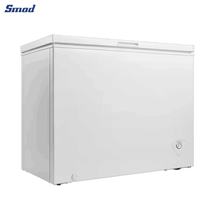 Compre Congelador Horizontal Comercial de Gran Capacidad de 295L con Descongelación Manual para DSC-384MA a Precio Económico - Product Image 4
