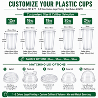Gobelets à café en plastique PP pour animaux de compagnie avec logo personnalisé, 12 oz, 16 oz, gobelets jetables avec couvercles pour café glacé, gobelet à emporter