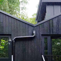 Panel Dinding Anti-Korosi Kedap Suara Desain Tradisional Shou Sugi Ban Karbonisasi Dalam Warna Hitam Tahan Air Dekoratif Rumah Tangga