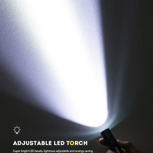 Promosyon 1000LM Mini LED el feneri mor acil AA hediyeler için çok amaçlı Penlight meşale - Product Image 6