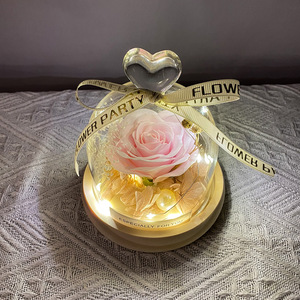 Saint Valentin <span class=keywords><strong>Rose</strong></span> Verre Dôme Fille Coffret Cadeau Lumière LED Fleur Préservée Roses Éternelles Verre Petit Amour Roses Cadeau Fête des Mères - Product Image 3