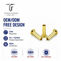 Rivets semi-tubulaires à tête plate en acier inoxydable sur mesure pour les joints de panneaux automobiles, prototype d'ingénierie, directement de l'usine, TianFang