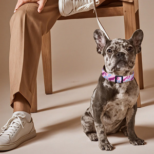 Nouveau collier pour chien réglable à libération rapide de la série Happy Custom Playful avec anneau en D, en polyester, motif imprimé - Product Image 5