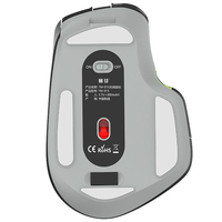 Souris de jeu ergonomique avec molette latérale, capteur haute précision 3212, rétroéclairage RGB, récepteur USB, câble Type-C, rechargeable sans fil