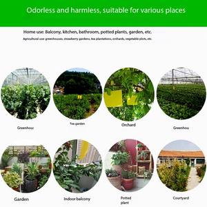 สติ๊กเกอร์ดักแมลงแบบกาวสองหน้า กันน้ำ เป็นมิตรกับสิ่งแวดล้อม สำหรับดักแมลงวันผลไม้ แมลงสาบ แมลงติดใบไม้ ใช้แล้วทิ้ง - Product Image 3