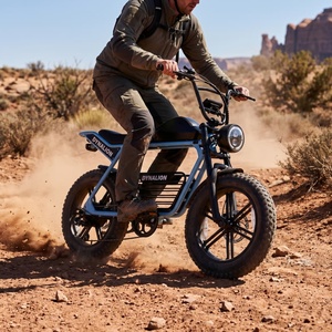 Vélo électrique à 7 vitesses avec pneus de 4 pouces, vélo électrique pour voyages en camping-car et en tout-terrain - Product Image 2