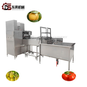 Hoàn toàn tự động Apple và Pear <span class=keywords><strong>Peeling</strong></span> máy cho trái cây nhà máy an toàn để ngăn chặn Apple Pear Flesh thiệt hại - Product Image 6