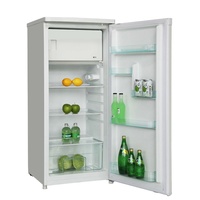 Sous-zéro compact de 7.1Cu.Ft pour le réfrigérateur mécanique d'appartement de porte simple de boissons pour la DSF-200L à la maison