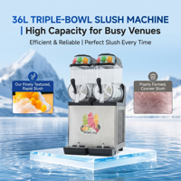 Commerciële slushpuppy machine voor koude dranken, smoothies en ijs, 36L, met ijsvergruizer
