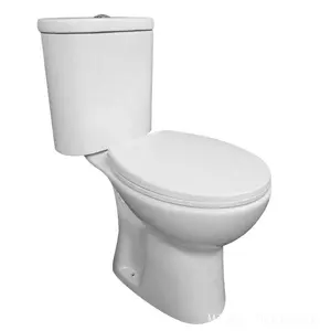 गर्म बिक्री बाथरूम washdown दो टुकड़ा एस-जाल कम कीमतों के साथ wc शौचालय