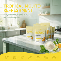 Aeglewell Gut Health Hydratiepoeder Mojito smaak Alcoholvrij Probiotische Mengsel Spijsverteringsondersteuning 0g Suiker 4g Netto Koolhydraten 150g