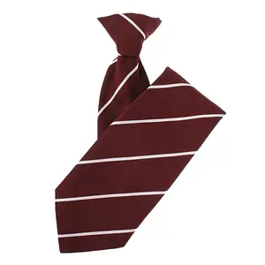 Cravate en polyester personnalisée bon marché Cravate à logo Cravate à clipser personnalisée pour enfants uniformes scolaires