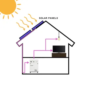 Impianto Fotovoltaico 3Kw con Batteria Integrata, Invertitore Solare 3000w Non Connesso Alla Rete, Sistema A Energia Solare