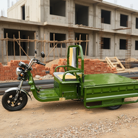Tricycle électrique à 3 roues EEC COC avec réglage à 3 vitesses 1000W pour conditions routières variables