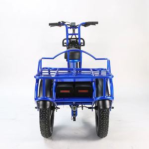 Triciclo Eléctrico Versátil con Doble Motor de 48V 500W, Bicicleta Eléctrica de 3 Ruedas con Llantas Anchas de 20 Pulgadas para Caza y Carga - Product Image 5