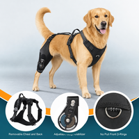 Attelle de Genou Canine Légère en Éponge avec Fermeture Auto-agrippante pour Déchirure Croisée, Gonflement du Pied Arrière et Enveloppement de la Patte – Idéale pour le Dropshipping