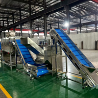 Máquina Automática Industrial de procesamiento de polvo de ajo de 400 kg/h, línea de producción de múltiples aplicaciones para cortar frutas y verduras