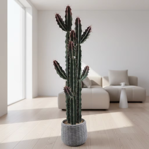 Planta Artificial de Cacto em Vaso, Simulação de Suculenta para Decoração Interna de Casa e Escritório, Ornamento de Mesa com Vaso Trançado - Product Image 5