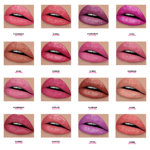 Lápiz Labial de Lujo Mate con Brillo, de Alta Calidad, con Logotipo Personalizado, Resistente al Agua, de Larga Duración, 64 Colores, Venta al Por Mayor - Product Image 5