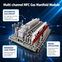 Module de distribution de contrôleur de débit massique semi-conducteur UHP MFC avec panneau de collecteur intégré et diaphragme VCR en acier inoxydable EP 316L
