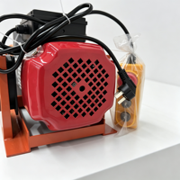 Palans électriques à câble en acier portables de 600 kg avec flèche rotative à 180 degrés, protection IP54, 220 V, pour le levage de marchandises (type mini)