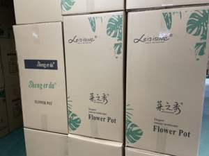 Jardinière surélevée pour <span class=keywords><strong>lit</strong></span> <span class=keywords><strong>de</strong></span> <span class=keywords><strong>jardin</strong></span> surélevé à prix bon marché et pots <span class=keywords><strong>de</strong></span> légumes <span class=keywords><strong>de</strong></span> plantation multicouches <span class=keywords><strong>de</strong></span> fleurs en plastique - Product Image 6