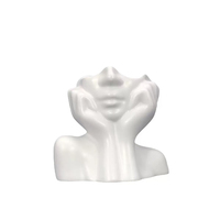 Nouveau pot de fleurs DIY 2025 en forme de visage d'ours fluide, style nordique créatif, pour la maison, le salon, le bureau, simple et tendance