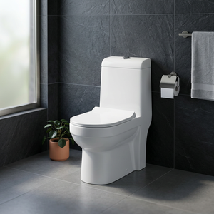 สุขภัณฑ์สำหรับ jorden สุขภัณฑ์อินเดียที่นั่งชักโครก1ชิ้น - Product Image 2