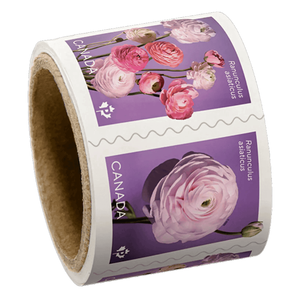 Autocollants adhésifs en PVC sur le thème de <span class=keywords><strong>la</strong></span> culture canadienne, anti-contrefaçon, motif floral, pour mariage, collection de timbres-<span class=keywords><strong>poste</strong></span> - Product Image 1